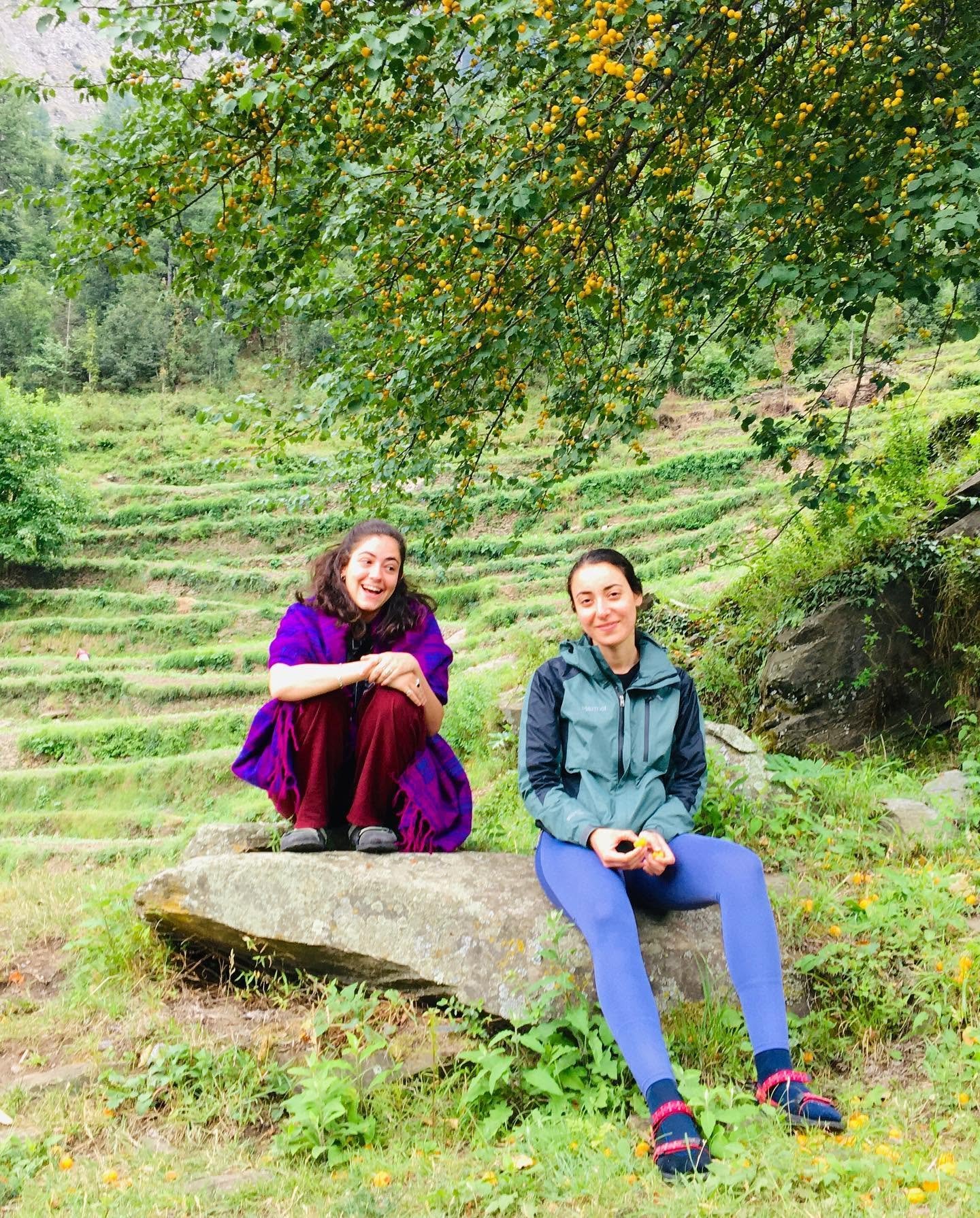 Guests sharing an outdoor picnic in a Himalayan forest